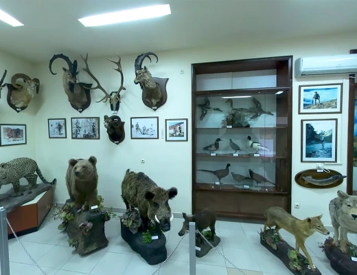 Staatliches Naturmuseum von Armenien