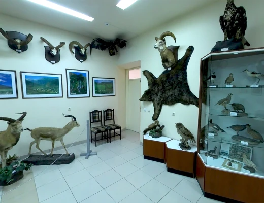 Staatliches Naturmuseum von Armenien