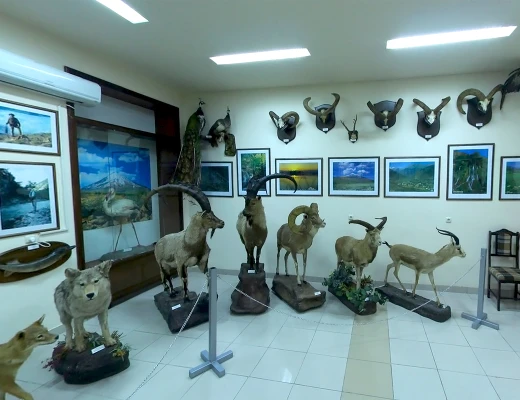 Staatliches Naturmuseum von Armenien