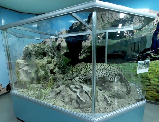 Staatliches Naturmuseum von Armenien