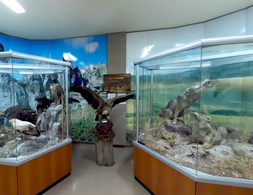 Staatliches Naturmuseum von Armenien
