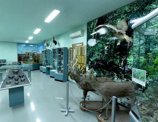 Staatliches Naturmuseum von Armenien