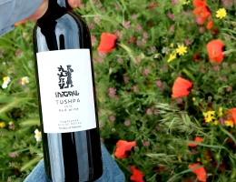 Fabbrica di vino e brandy Tushpa