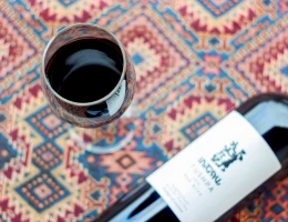 Fabbrica di vino e brandy Tushpa