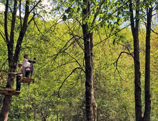 Parque de Cuerdas VereV