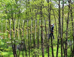 Parco avventura VereV