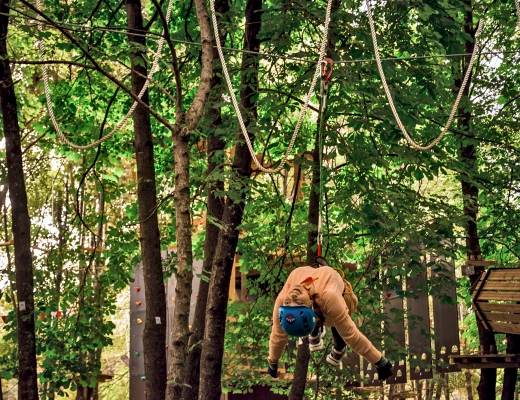 Parque de Cuerdas VereV