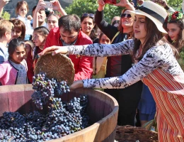 Fabbrica di vino Van Ardi