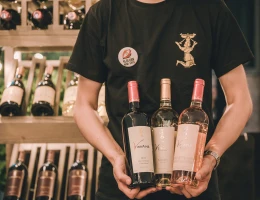 Fabbrica di vino Van Ardi
