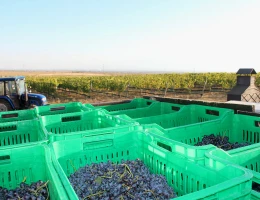 Fabbrica di vino Van Ardi