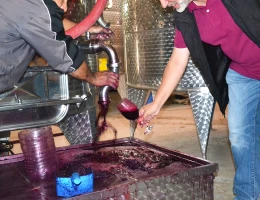 Fabbrica di vino Van Ardi