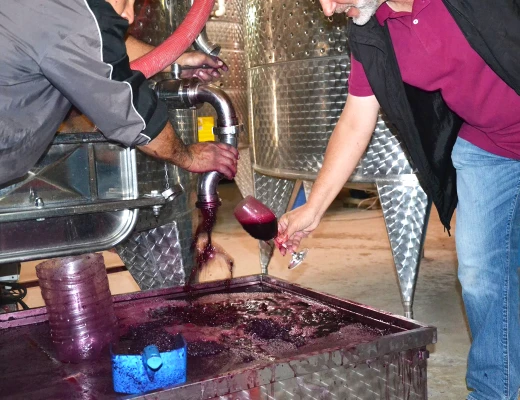 Винный завод Ван Арди