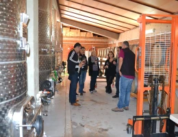 Fabbrica di vino Van Ardi