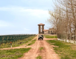 Fabbrica di vino Van Ardi