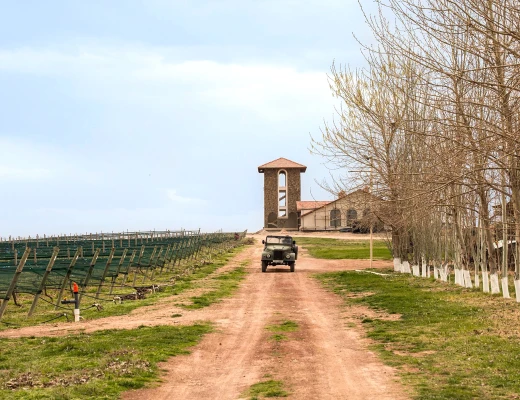 Винный завод Ван Арди