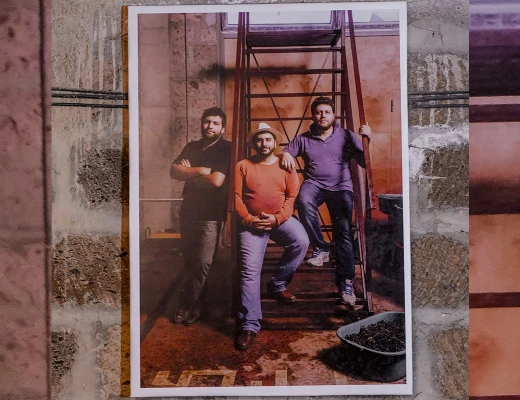 Ալլուրիա գինու գործարան