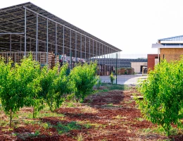 Fabbrica di frutta secca e eco-snack Areghi