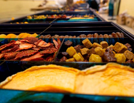 Trockenobst- und Öko-Snack-Fabrik Aregi