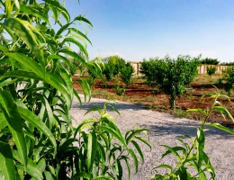 Fabbrica di frutta secca e eco-snack Areghi