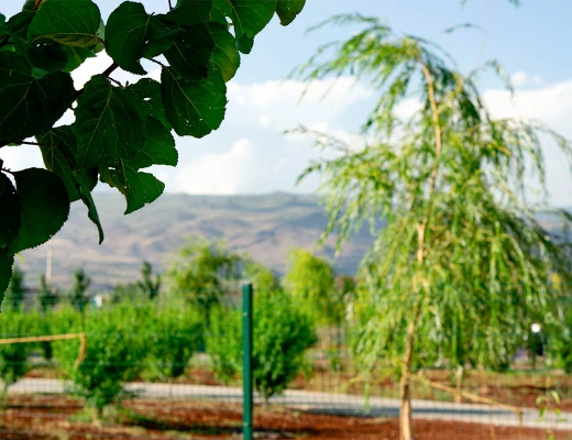 Trockenobst- und Öko-Snack-Fabrik Aregi