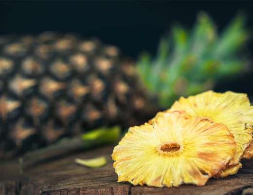 Trockenobst- und Öko-Snack-Fabrik Aregi