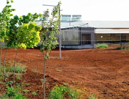 Fabbrica di frutta secca e eco-snack Areghi