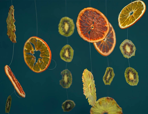 Trockenobst- und Öko-Snack-Fabrik Aregi