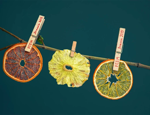 Trockenobst- und Öko-Snack-Fabrik Aregi