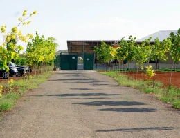 Fabbrica di frutta secca e eco-snack Areghi