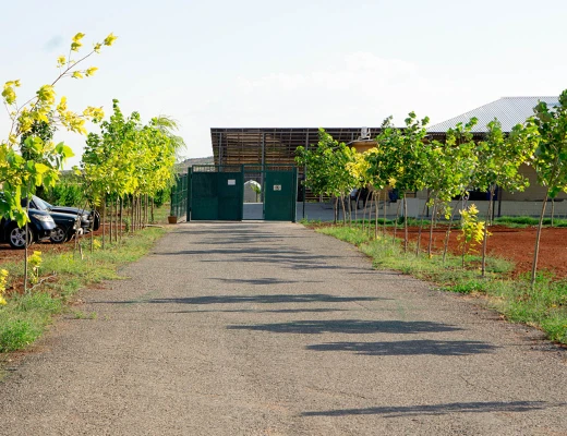 Trockenobst- und Öko-Snack-Fabrik Aregi