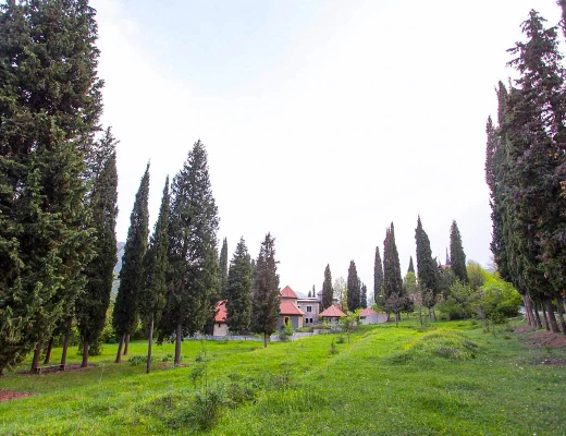 Արամյանցի դղյակ