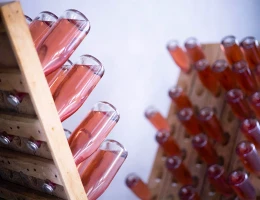 Sala vini Hovaz Wine Rooms
