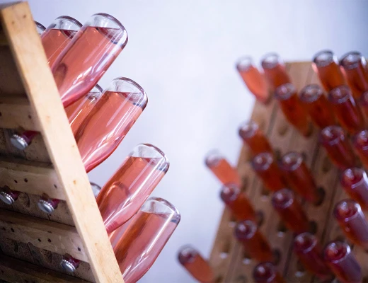 Bodega Hovaz Wine Rooms