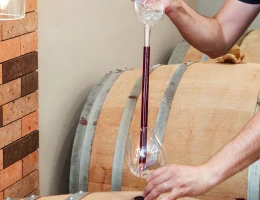 Fabbrica di vino e distillato Mijnaberd Alco