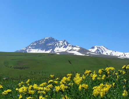 Escursione alla vetta meridionale del Monte Aragats