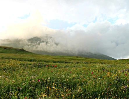Climbing Mount Armaghan