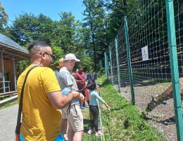 Parco dei cervi