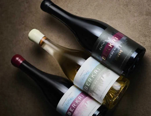 Patio Gastronómico Berkri