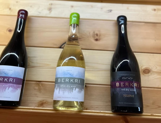 Patio Gastronómico Berkri