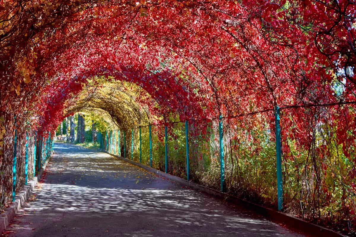 Botanical Garden The best locations to visit in Yerevan and its surroundings: Botanical Garden