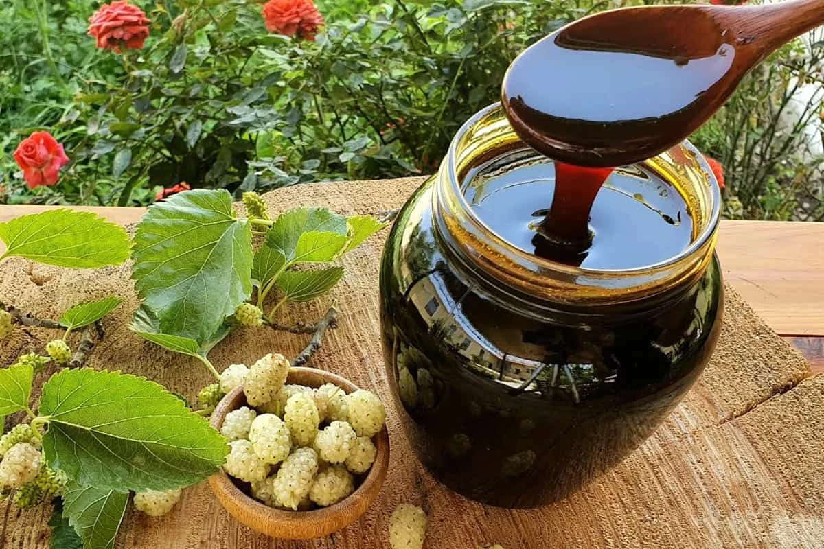 Doshab di gelso Selezione di regali e souvenir dall'Armenia: Doshab di gelso