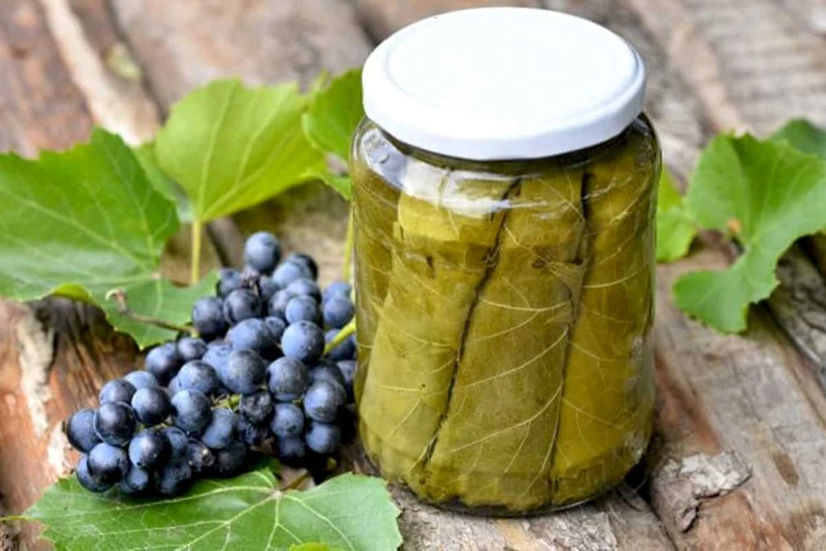 Foglie di vite in conserva Selezione di regali e souvenir dall'Armenia: Foglie di vite in conserva