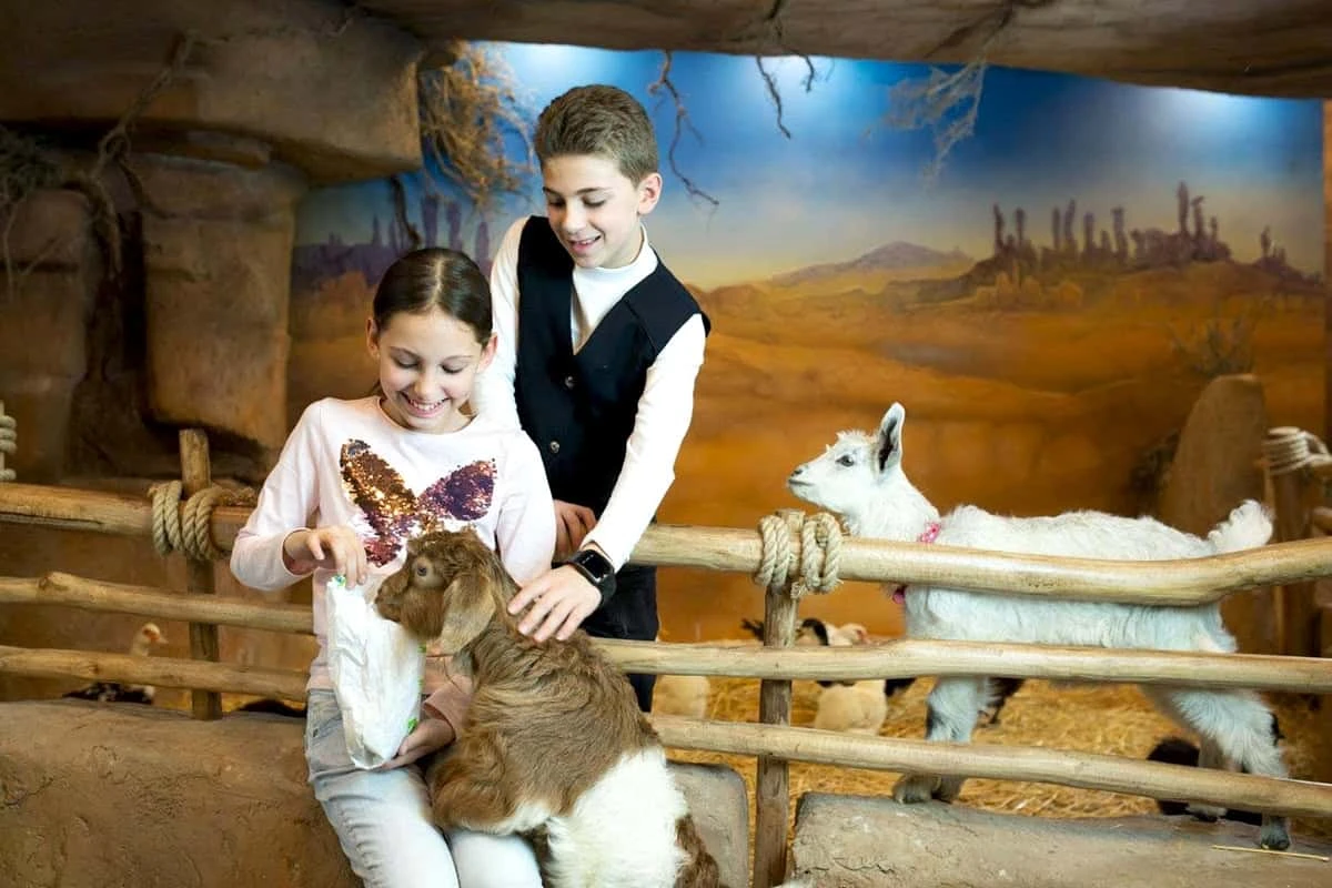 Travel to Armenia with kids – Vacation with a children: Exotarium Zoolandia