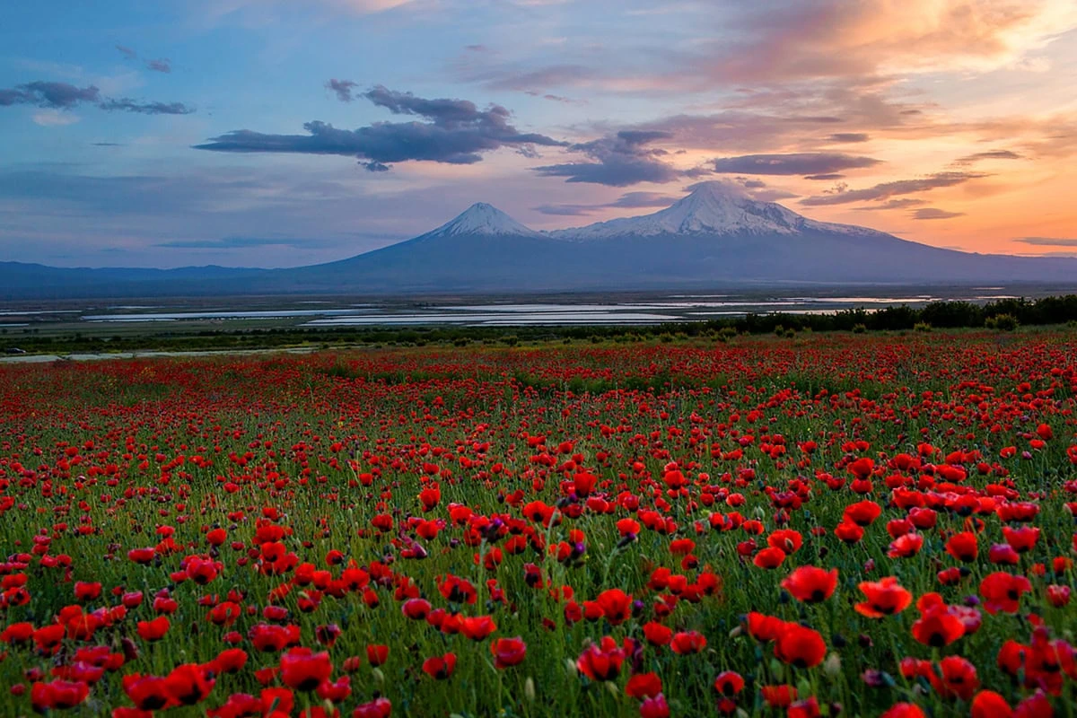 Guida alle leggende armene: segreti di montagne e templi: Montagna Ararat