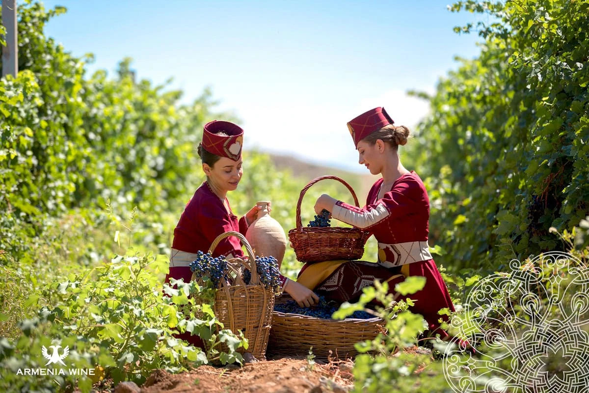 Armenia Ecotourism: Your Guide to Farms, Vineyards & Villages: Traditional Armenian grape harvest