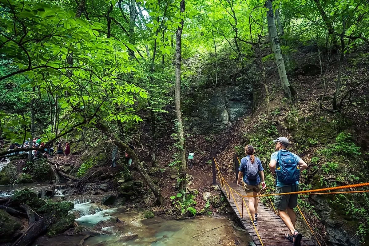 Rutas de senderismo en Armenia: cañones, picos, cascadas ocultas: Parque nacional de Dilijan