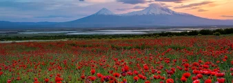 Mont Ararat – symbole de l'Arménie: les meilleurs endroits pour admirer la vue