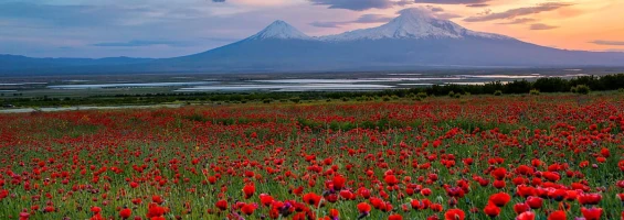 Monte Ararat – simbolo dell'Armenia: i posti migliori per ammirare il panorama