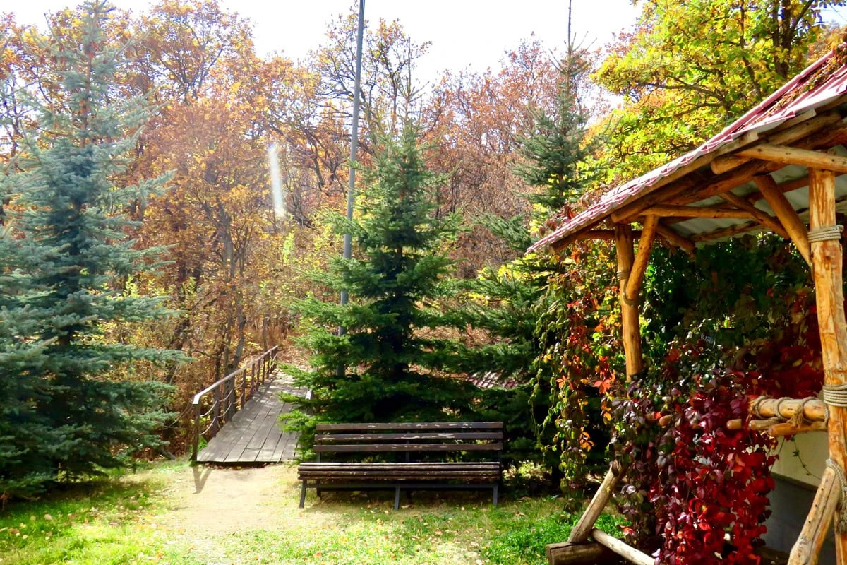 Autumn in Tsaghkadzor – colorful forests and a quieter side of the mountain resort