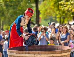 Festival de Vino Arení